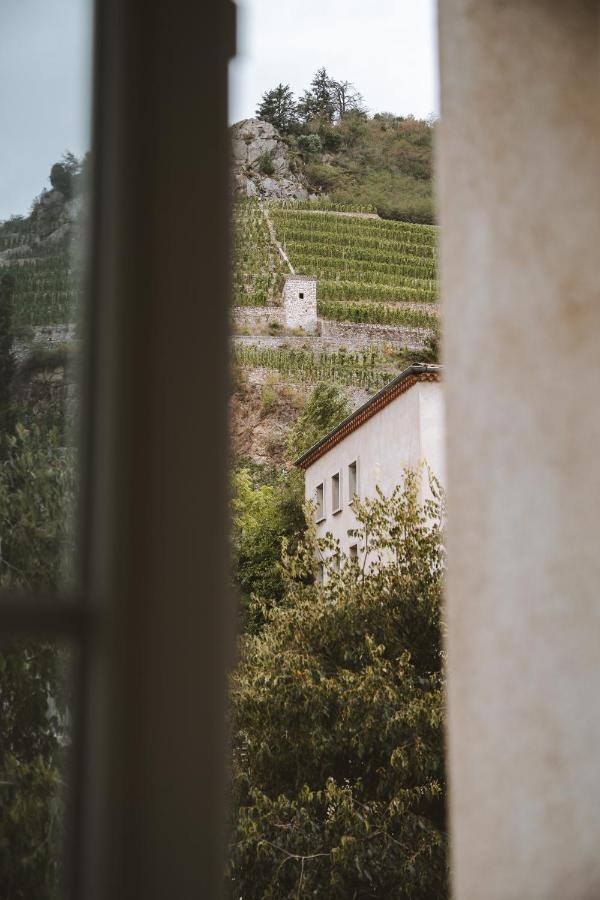 Le Dromardechois - Gite Meuble 6 Personnes Tournon Sur Rhone - Ecolodgite المظهر الخارجي الصورة